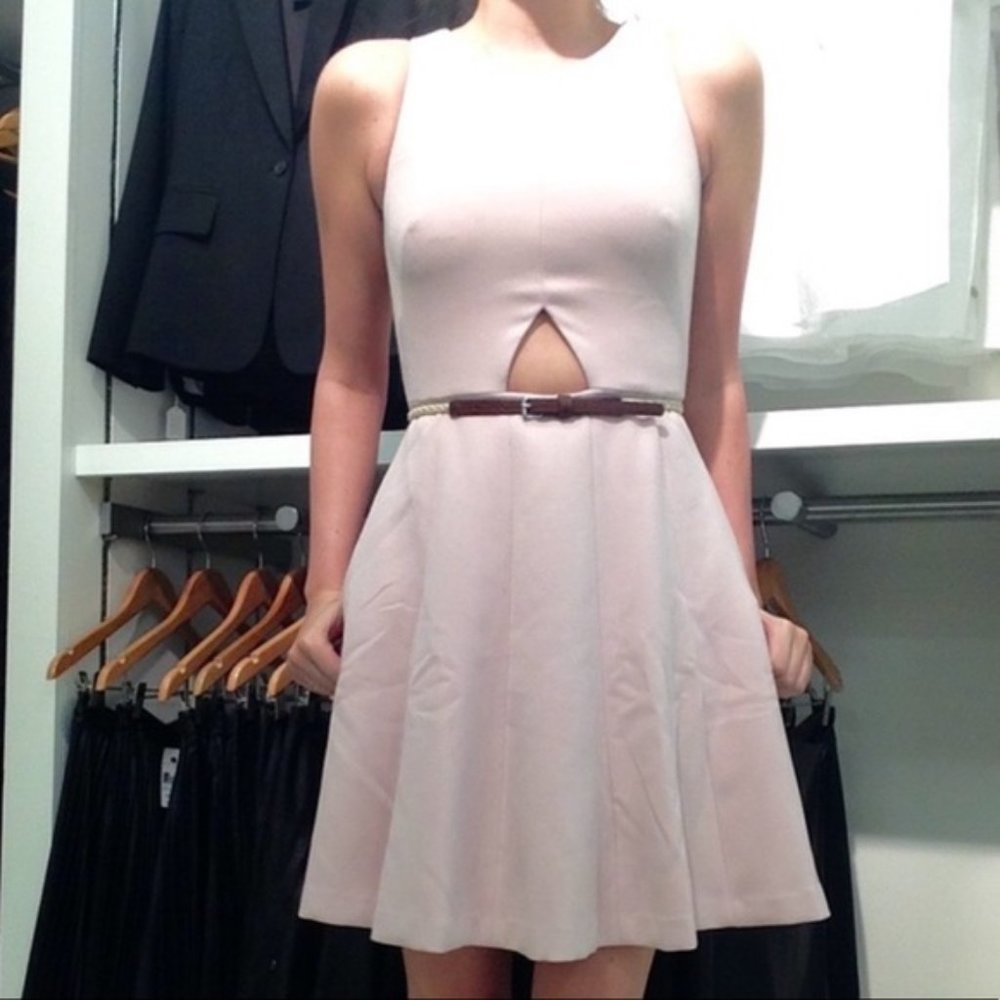 Club Monaco dusty mauve skater cut out dress Size:00